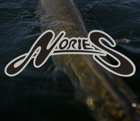 NORIES