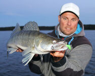 4" Walleye Assassin