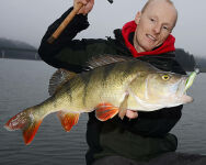 4" Walleye Assassin