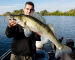 5" Sea Shad