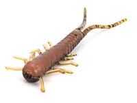 3" HellGies