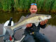 4" G-Tail Saturn