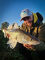 3.75" SwimFish