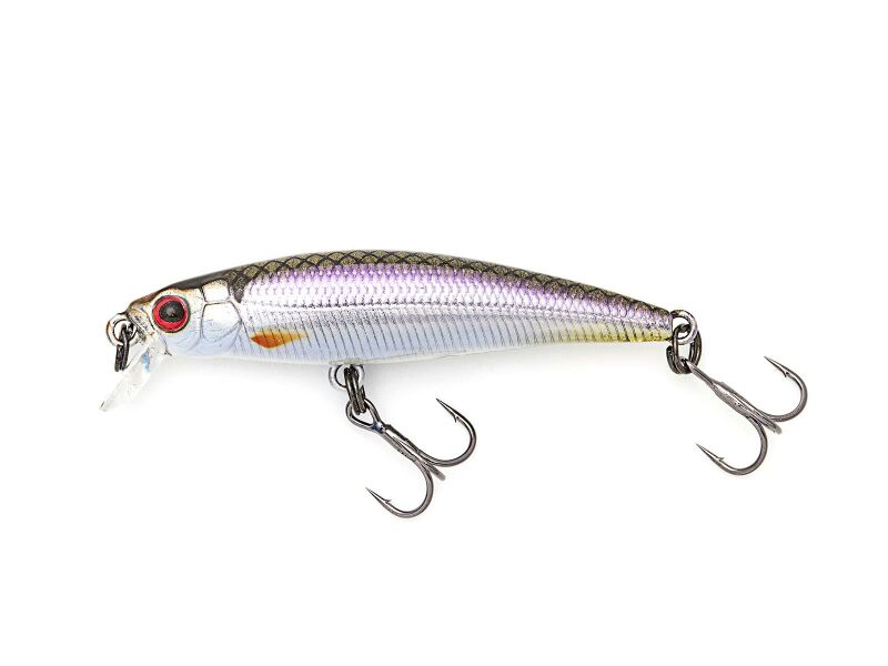 MX 48F (334) Roach