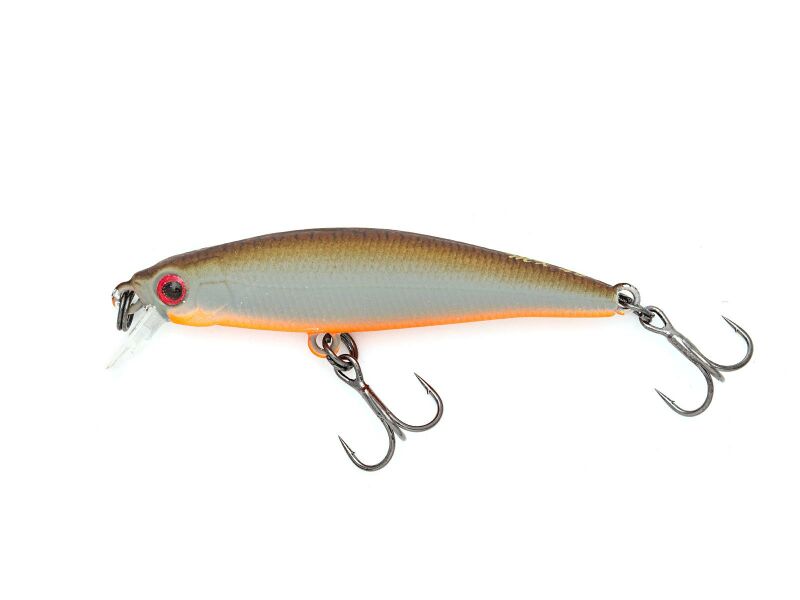 MX 48F (339) Brown Back/Orange Belly
