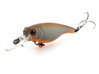 SX 40F (339) Brown Back/Orange Belly