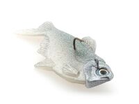 2.8" Dying Shad