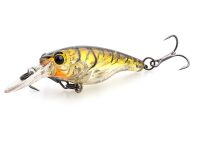 SX 40LC (392) Brown Craw